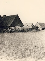 019-003